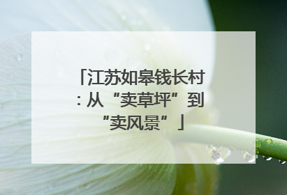江苏如皋钱长村：从“卖草坪”到“卖风景”